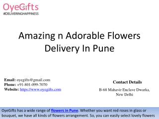 Amazing n Adorable Flowers Delivery In Pune