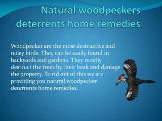 NATURAL WOODPECKERS DETERRENTS HOME REMEDIES