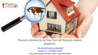 Who To Choose For Commercial Pest Control Services?