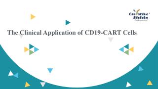 The Clinical Application of CD19-CART Cells