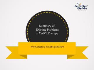 Summary of Existing Problems in CART Therapy