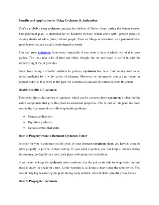 Benefits and Application by Using Cyclamen & Anthamber