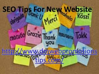 Seo Tips for New Website