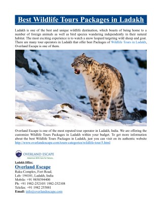 Best Wildlife Tours Packages in Ladakh