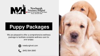 Great Puppy Packages by Newburgh Veterinary Hospital