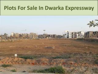 Residential Plots on Dwarka Expressway