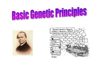 Basic Genetic Principles