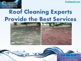 Roof Cleaning Experts Provide the Best Services