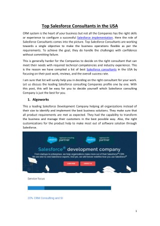 Top Salesforce Consultants in the USA