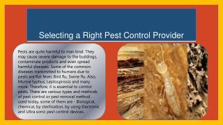 Selecting a Right Pest Control Provider