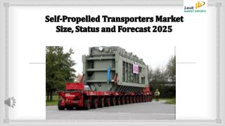 Self propelled transporters market size, status and forecast 2025