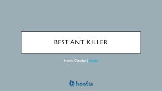 Best Ant Killer for Inside Home