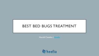 Best Chemical Treatment for Bed Bugs