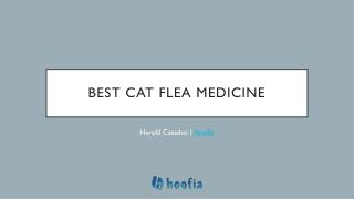 Best Over The Counter Cat Flea Medicine