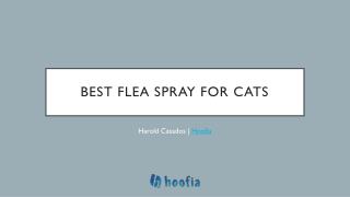 Best Flea Spray To Use On Cats