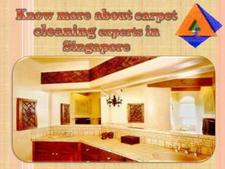 Know more about carpet cleaning experts in Singapore