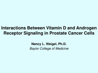 Interactions Between Vitamin D and Androgen Receptor Signaling in Prostate Cancer Cells