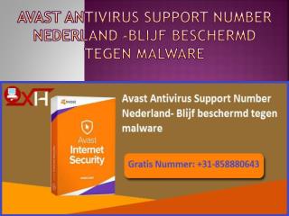 Avast Antivirus Support Number Nederland-Stay Protected From the Malware