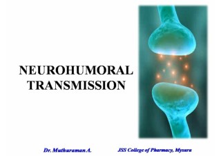 2.2.1 NEUROHUMORAL TRANSMISSION