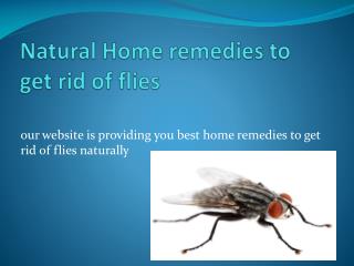 NATURAL HOME REMEDIES TO GET RID OF FLIES