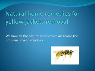 NATURAL HOME REMEDIES FOR YELLOW JACKETS REMOVAL