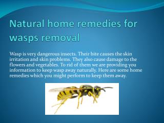 NATURAL HOME REMEDIES FOR WASPS REMOVAL