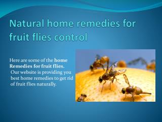 NATURAL HOME REMEDIES FOR FRUIT FLIES CONTROL