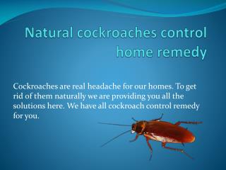 NATURAL COCKROACHES CONTROL HOME REMEDY