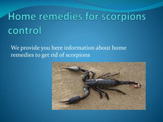 HOME REMEDIES FOR SCORPIONS CONTROL