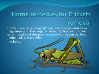 HOME REMEDIES FOR CRICKETS REMOVAL