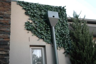 Artificial Fake Ivy Wall That Looks Real