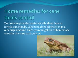 HOME REMEDIES FOR CANE TOADS CONTROL