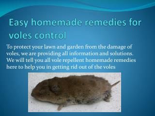 EASY HOMEMADE REMEDIES FOR VOLES CONTROL