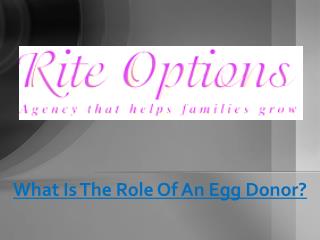 What Is The Role Of An Egg Donor