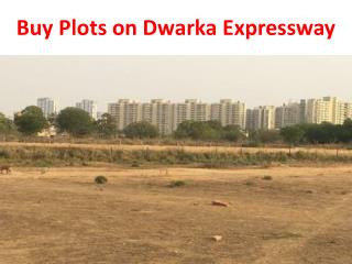 Affordable Plots on Dwarka Expressway
