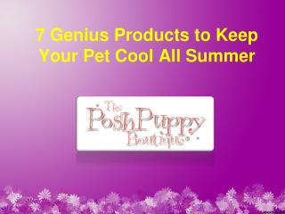 7 genius products to keep your pet cool all summer