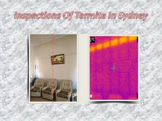 Inspections Of Termite In Sydney