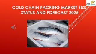 Cold Chain Packing Market Size, Status and Forecast 2025