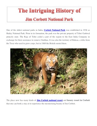 Best-Resort-in-Corbett