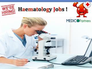Haematologist Jobs