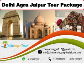 Delhi agra jaipur tour package