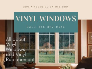 Vinyl Windows Replacement