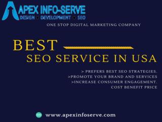 Best SEO Services in USA | Choose Apex Info-Serve
