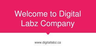Welcome to Kitchener Web Design Company - Digital Labz