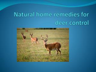 NATURAL HOME REMEDIES FOR DEER CONTROL