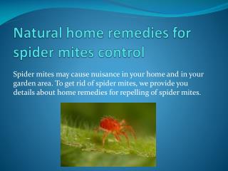 NATURAL HOME REMEDIES FOR SPIDER MITES CONTROL