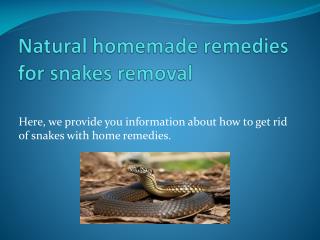 NATURAL HOMEMADE REMEDIES FOR SNAKES REMOVAL