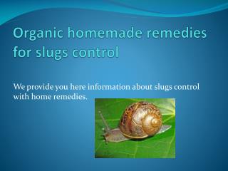 ORGANIC HOMEMADE REMEDIES FOR SLUGS CONTROL