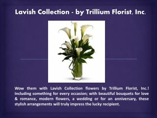 Lavish Flower Collection - by Trillium Florist, Inc