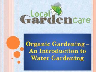 Organic Gardening - An Introduction to Water Gardening